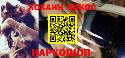 индика Новодвинск