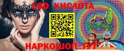 индика Новодвинск