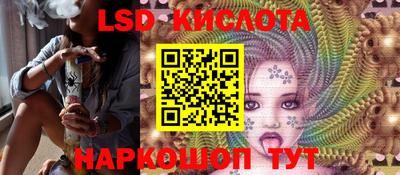 индика Новодвинск