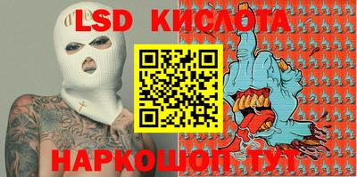 индика Новодвинск
