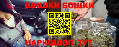 индика Новодвинск
