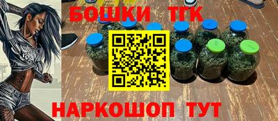индика Новодвинск