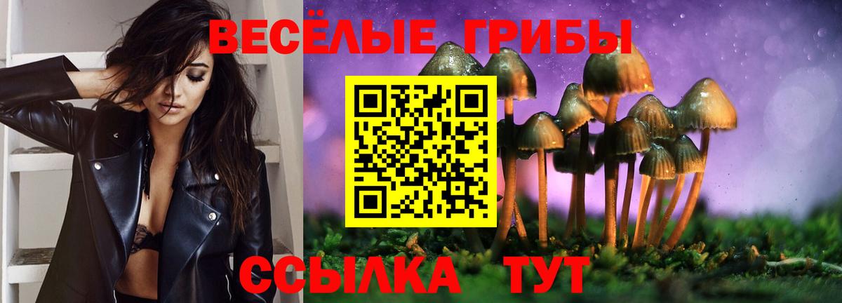 Серпухов  Галлюциногенные грибы мицелий  Галлюциногенные грибы мухоморы  закладка  Вход с VPN 